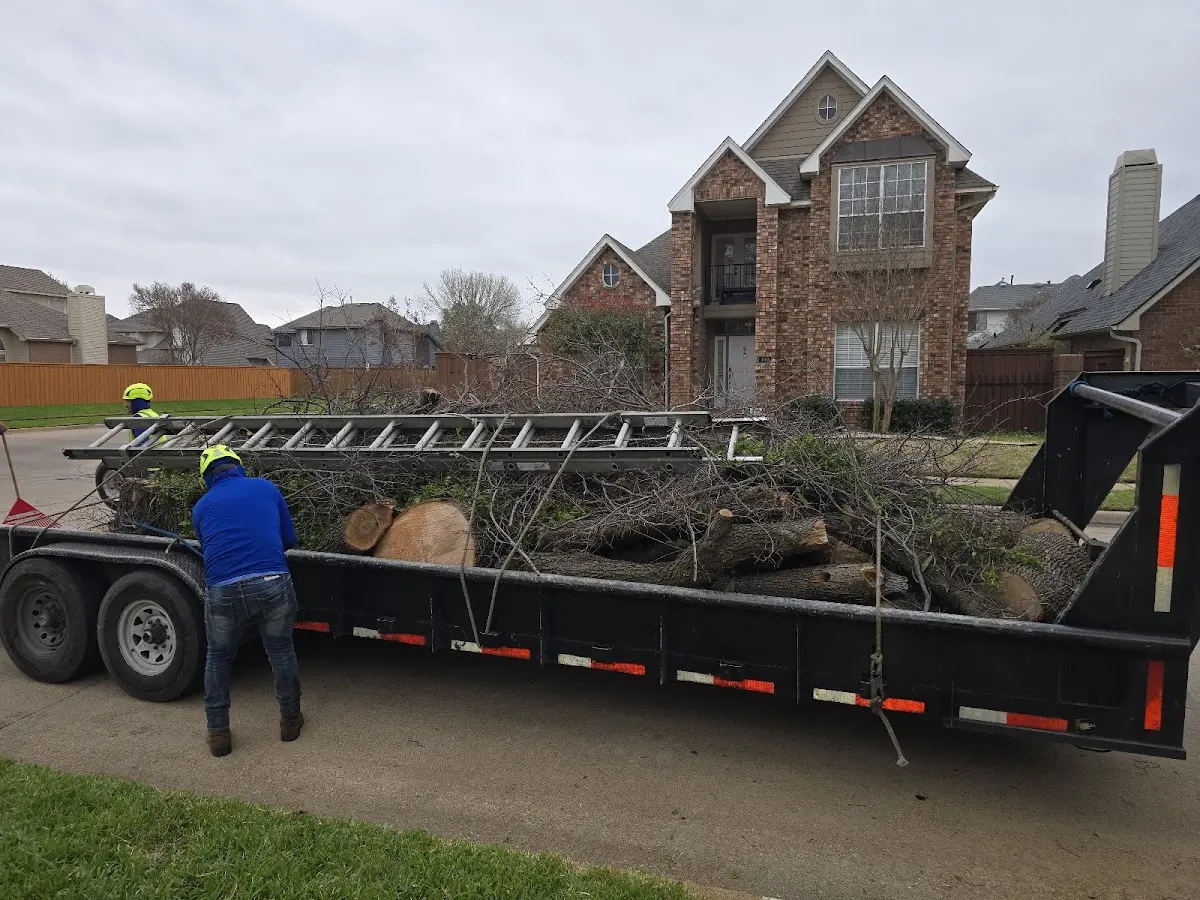 Expert Lot Clearing with proper safety equipment in Votaw